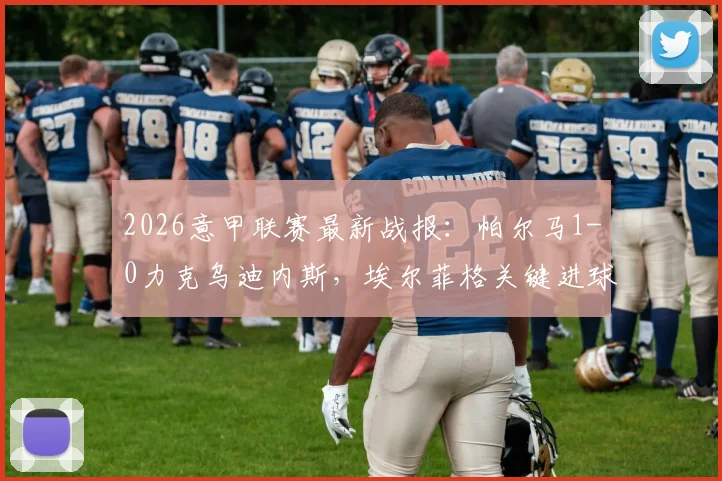 2026意甲联赛最新战报：帕尔马1-0力克乌迪内斯，埃尔菲格关键进球锁定胜局，附全场数据与视频集锦